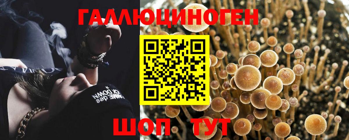 Кизляр  Галлюциногенные грибы мухоморы  Вход с VPN 